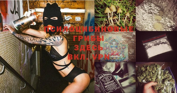 прущая мука Няндома