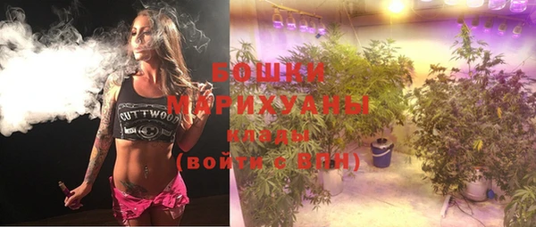 прущая мука Няндома