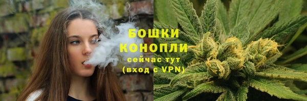 прущая мука Няндома