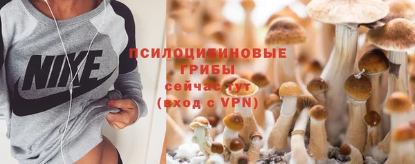 бутират Нязепетровск