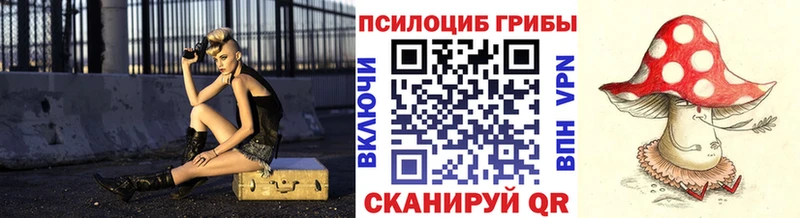 хочу Большой Камень Галлюциногенные грибы MAGIC MUSHROOMS