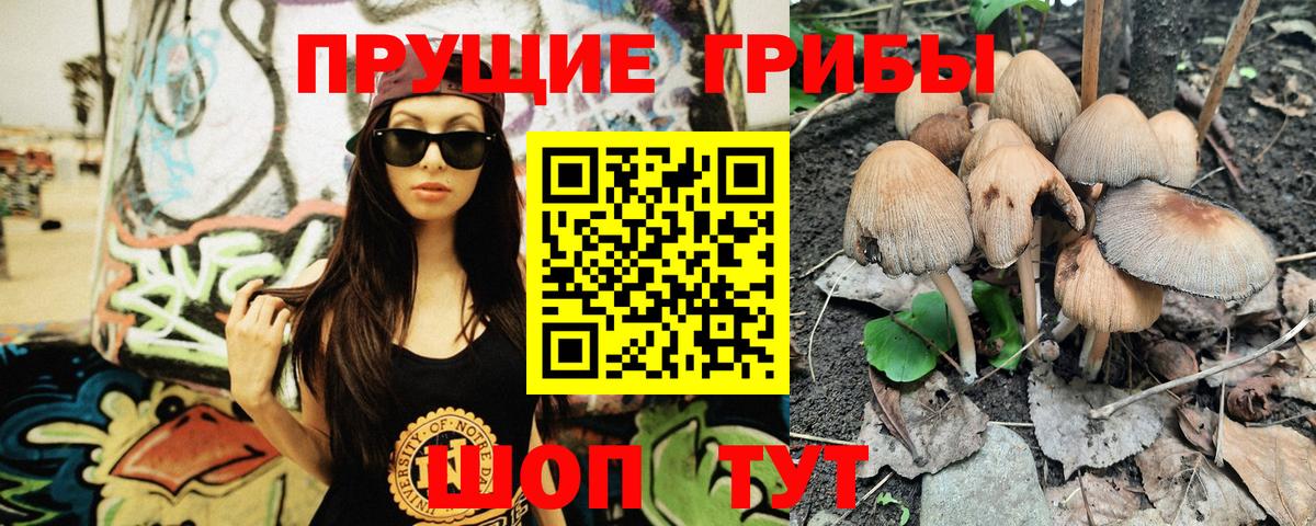 Галлюциногенные грибы GOLDEN TEACHER  Вход с VPN  Большой Камень  Псилоцибиновые грибы мухоморы 